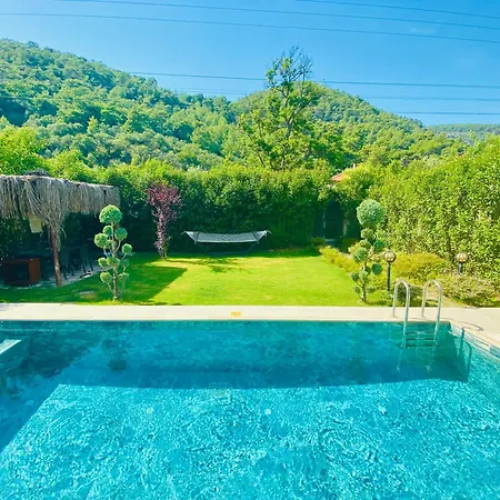 Mesk فيلة فتحية